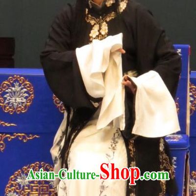 Chinese Ping Opera Tsing Yi Apparels Costumes and Headdress Li Xianglian Selling Paintings Traditional Pingju Opera Actress Black Dress Garment
