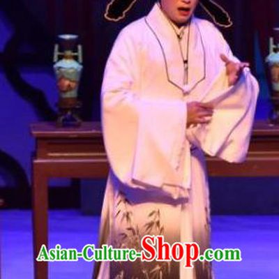 The Beautiful Courtesan Chinese Ping Opera Xiaosheng Li Jia Costumes and Headwear Pingju Opera Scholar Apparels Clothing