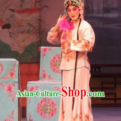 Chinese Ping Opera Actress Costumes Apparels and Headpieces Embroidered Shoes Traditional Pingju Opera Hua Tan Zhao Suqin Dress Garment