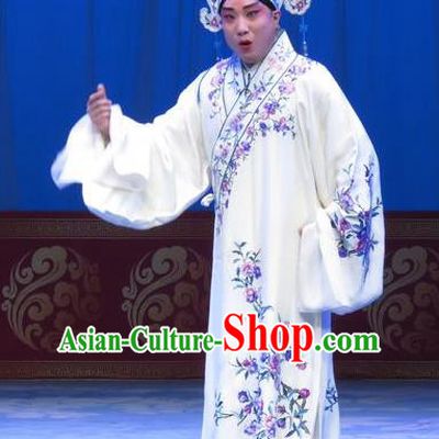 The Beautiful Courtesan Chinese Ping Opera Xiaosheng Costumes and Headwear Pingju Opera Young Male Apparels Scholar Li Jia Clothing