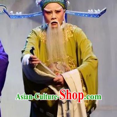 Chinese Yue Opera Elderly Male Minister Costumes and Hat Shaoxing Opera Yan Zhi Apparels Garment Official Shi Yushan Embroidered Robe Vestment