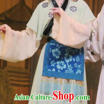 Chinese Shaoxing Opera Country Girl The Wrong Red Silk Costumes Yue Opera Young Lady Garment Dress Apparels and Headwear
