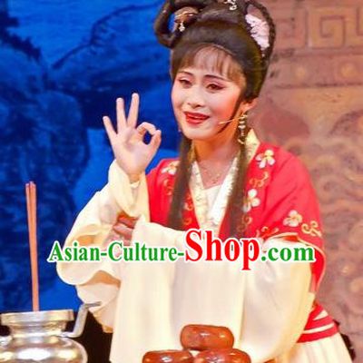 Chinese Shaoxing Opera Young Female Role Apparels Flirting Scholar Xiao Dan Costumes Yue Opera Qiu Xiang Dress Maidservant Garment and Hair Jewelry
