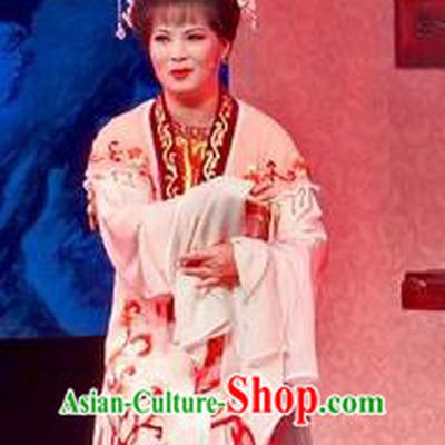 Chinese Shaoxing Opera Young Mistress Apparels Flirting Scholar Costumes Yue Opera Maidservant Dress Garment and Headpieces