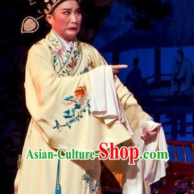 Chinese Yue Opera Calligrapher Zhu Zhishan Costumes Flirting Scholar Garment Shaoxing Opera Xiaosheng Young Male Robe Apparels and Hat