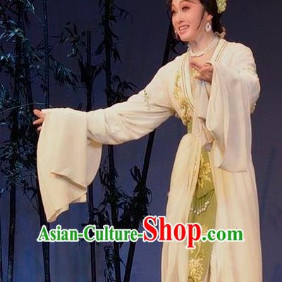 Chinese Shaoxing Opera Young Mistress Garment Yue Opera Lu You And Tang Wan Hua Dan Costumes Noble Lady Apparels Dress and Hair Accessories