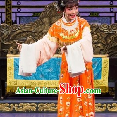 Chinese Shaoxing Opera Noble Female Dress Yue Opera Wu Nv Bai Shou Elderly Daughter Apparels Hua Tan Garment Costumes and Headpieces