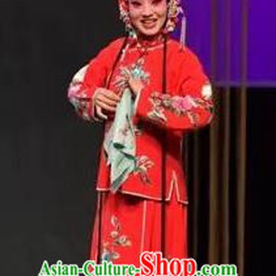 Chinese Shaoxing Opera Xiaodan Red Apparels and Headpieces Yue Opera Tell On Sargam Garment Young Lady Dress Costumes