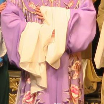 Chinese Shaoxing Opera Hua Tan Yang Sanchun Purple Cape Dress Yue Opera Wu Nv Bai Shou Costumes Young Female Garment Apparels and Headpieces