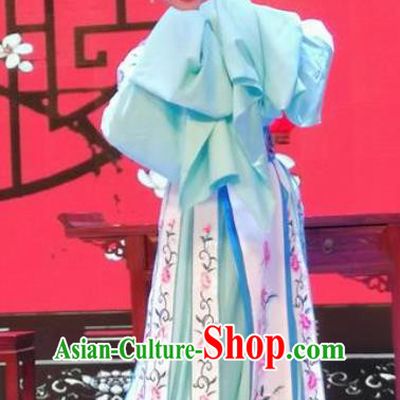 Chinese Shaoxing Opera Actress Dress Costumes and Hair Accessories San Kan Yu Mei Yue Opera Hua Tan Princess Liu Jinding Garment Apparels