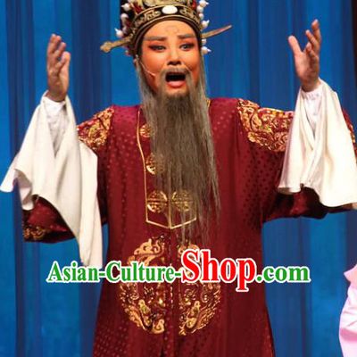 Chinese Yue Opera Elderly Male Apparels San Kan Yu Mei Costumes and Hat Shaoxing Opera Laosheng Garment Landlord Robe
