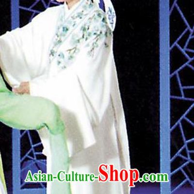 Chinese Yue Opera Niche Li Hui Niang Costumes and Headwear Shaoxing Opera Young Male Apparels Xiaosheng Scholar Pei Garment
