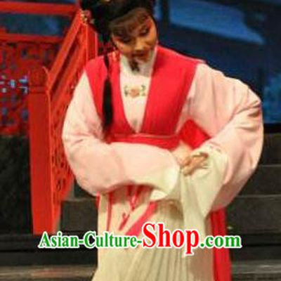 Chinese Shaoxing Opera Young Lady Apparels From Love to Patriotism Deliver the Messenger Costumes and Hair Accessories Yue Opera Xiaodan Dress Garment