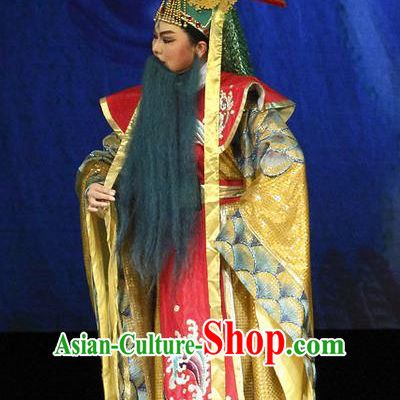 Chinese Yue Opera Dragon King Dongting Apparels Costumes and Headwear The Princess Messenger Farewell at Lakeside Shaoxing Opera Elderly Male Garment