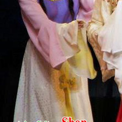 Chinese Shaoxing Opera Xiaodan Actress Garment Costumes and Hair Accessories Yue Opera Zhuang Yuan Da Geng Young Lady Dress Apparels