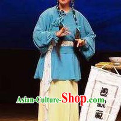 Chinese Shaoxing Opera Country Lady Wang Lanying Dress Garment and Hair Accessories He Wenxiu Yue Opera Hua Tan Costumes Young Female Apparels