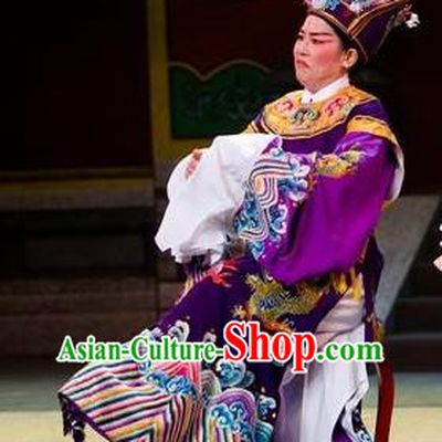 Chinese Yue Opera The Number One Scholar Is Not Love Cloun Clothing and Headwear Shaoxing Opera Eunuch Costumes Garment