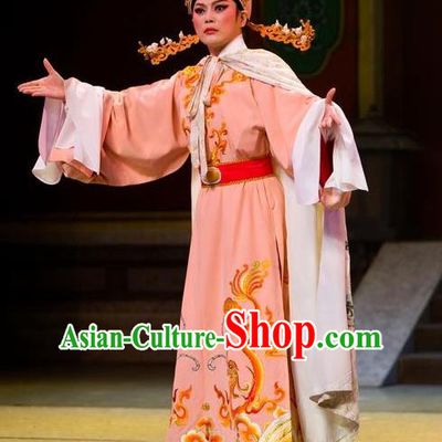 Chinese Yue Opera Young Male The Number One Scholar Is Not Love Yang Xueyun Garment and Headwear Shaoxing Opera Niche Costumes Apparels Clothing