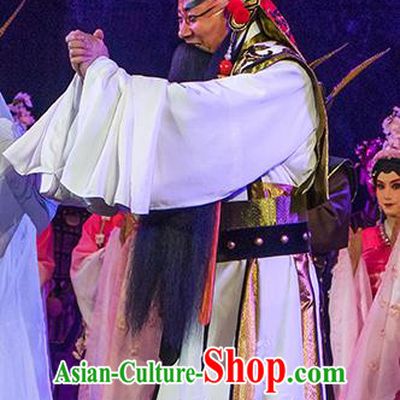 Ru Ji Chinese Peking Opera Lord Garment Costumes and Headwear Beijing Opera Laosheng Apparels Elderly Male King Wei Wuji Clothing