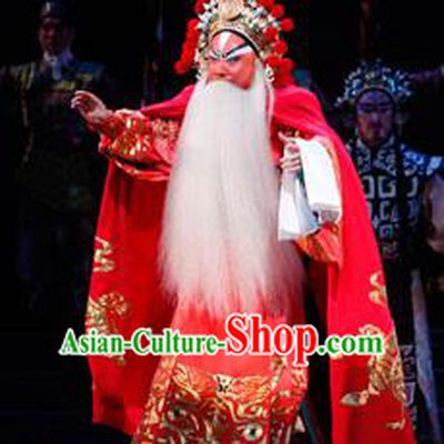 Chun Qiu Er Xu Chinese Peking Opera Elderly Official Wu Zixu Garment Costumes and Headwear Beijing Opera Elderly Male Apparels Minister Red Clothing