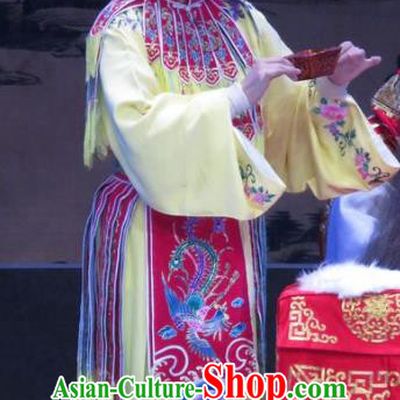 Chinese Ping Opera Hua Tan Actress Apparels Costumes and Headpieces Traditional Pingju Opera Lv Bu And Diao Chan Young Beauty Dress Garment
