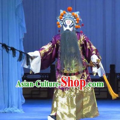 Tao Li Mei Chinese Ping Opera Elderly Male Costumes and Headwear Pingju Opera Minister Fang Hengxing Apparels Clothing