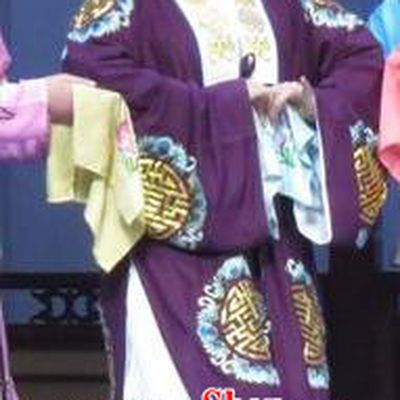 Chinese Ping Opera Elderly Female Apparels Costumes and Headdress Traditional Pingju Opera Tao Li Mei Old Dame Dress Garment