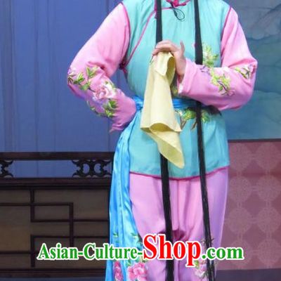 Chinese Ping Opera Young Female Apparels Costumes and Headdress Traditional Pingju Opera Tao Li Mei Xiaodan Dress Garment