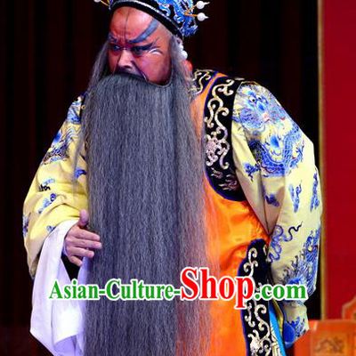Palm Civet for Prince Chinese Ping Opera Emperor Zhenzong Costumes and Headwear Pingju Opera Elderly Male Apparels Clothing