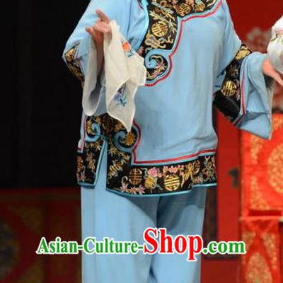 Chinese Ping Opera Elderly Female Apparels Costumes and Headpieces The Oil Vendor and His Pretty Bride Traditional Pingju Opera Pantaloon Dress Procuress Garment