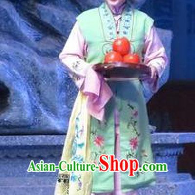 Chinese Ping Opera Young Lady Apparels Costumes and Headpieces Tell on Sargam Traditional Pingju Opera Xiaodan Dress Servant Girl Garment
