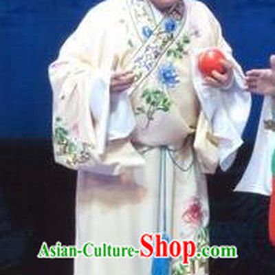 Tell on Sargam Chinese Ping Opera Young Man Garment Costumes and Headwear Pingju Opera Foolish Male Dai Da Apparels Clothing