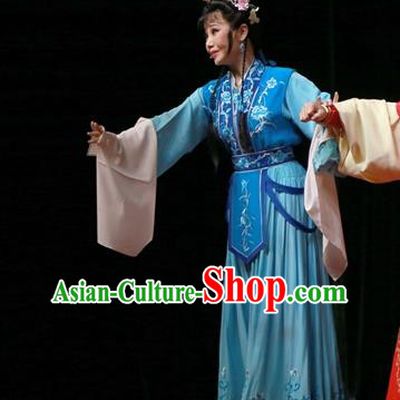 Chinese Ping Opera Palace Lady Kou Zhu Apparels Costumes and Headpieces Traditional Pingju Opera Palm Civet for Prince Diva Blue Dress Garment