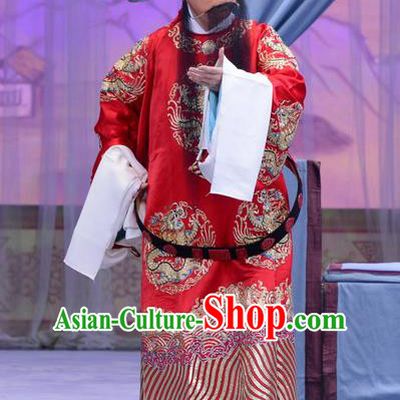 Han Yuniang Chinese Peking Opera Laosheng Garment Costumes and Headwear Beijing Opera Elderly Male Apparels Clothing Official Cheng Pengjv Embroidered Robe