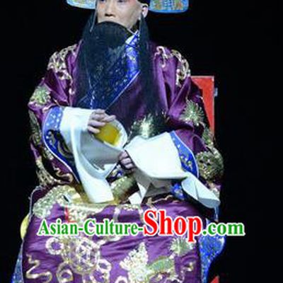 On A Wall and Horse Chinese Peking Opera Elderly Man Garment Costumes and Headwear Beijing Opera Old Gentleman Apparels Minister Pei Xingjian Clothing
