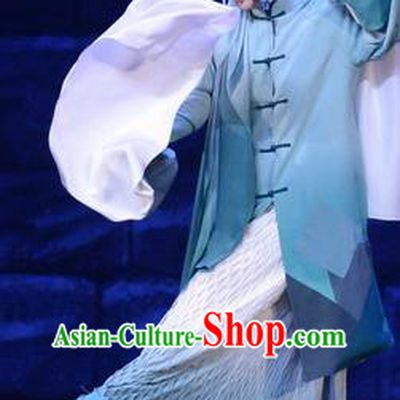 Chinese Beijing Opera Diva Apparels Costumes and Headdress On A Wall and Horse Traditional Peking Opera Tsing Yi Dress Actress Li Qianjun Garment
