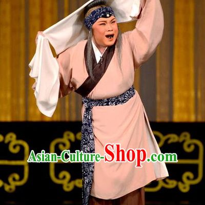 Chinese Beijing Opera Elderly Female Apparels Ba Zhen Tang Costumes and Headpieces Traditional Peking Opera Laodan Dress Old Woman Sun Shulin Garment