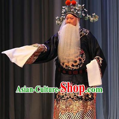 Ba Zhen Tang Chinese Peking Opera Old Official Zhang Wenda Garment Costumes and Headwear Beijing Opera Elderly Male Apparels Clothing