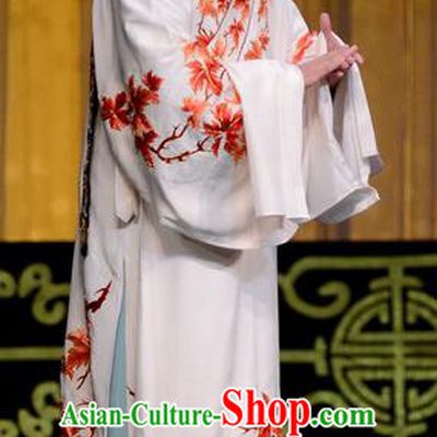Hongniang Chinese Peking Opera Xiaosheng Garment Scholar Zhang Gong Costumes and Headwear Beijing Opera Young Male Apparels Clothing