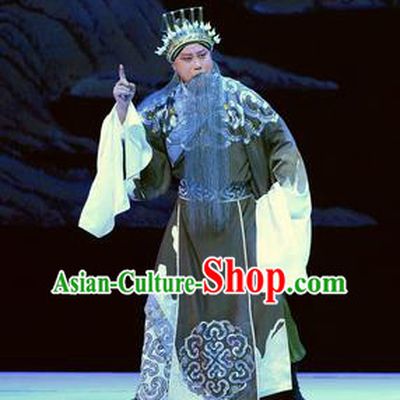 Su Qin Chinese Peking Opera Laosheng Political Strategists Garment Costumes and Headwear Beijing Opera Elderly Male Apparels Clothing