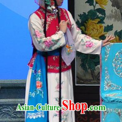 Chinese Beijing Opera Young Lady Apparels Su Xiaomei Costumes and Headpieces Traditional Peking Opera Xiaodan Dress Maidservant Garment