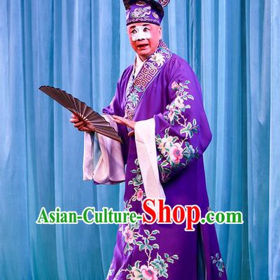 Shi Wen Hui Chinese Peking Opera Bully Niu Siwen Garment Costumes and Headwear Beijing Opera Chou Apparels Young Man Purple Robe Clothing