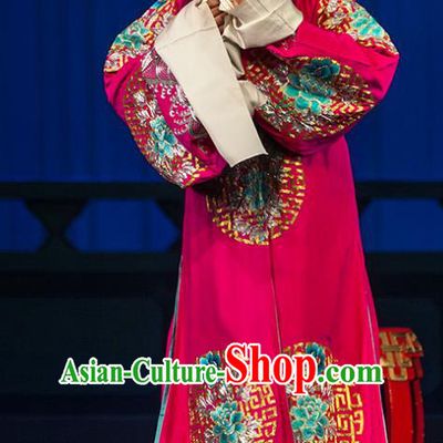 Qin Xianglian Chinese Ping Opera Scholar Chen Shimei Garment Costumes and Headwear Pingju Opera Official Red Apparels Clothing