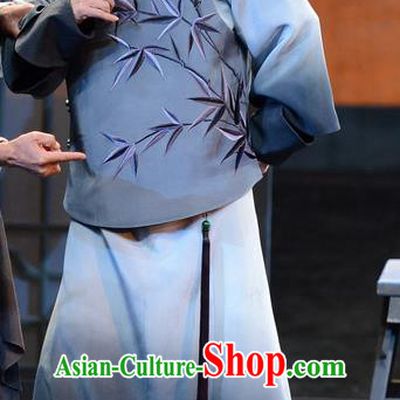 Imperial Envoy Chinese Peking Opera Qing Dynasty Scholar Garment Costumes and Headwear Beijing Opera Elderly Male Apparels Official Lin Zexu Clothing