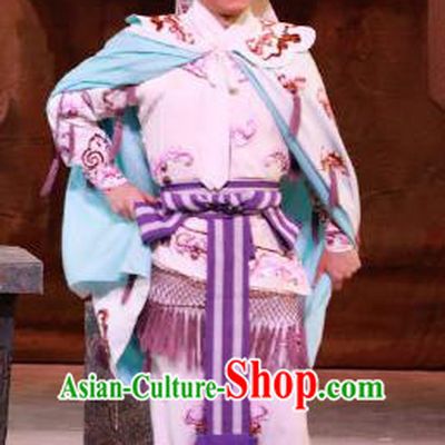 Seven Heros Five Gallants Chinese Peking Opera Swordsman Zhan Zhao Garment Costumes and Headwear Beijing Opera Young Male Apparels Clothing