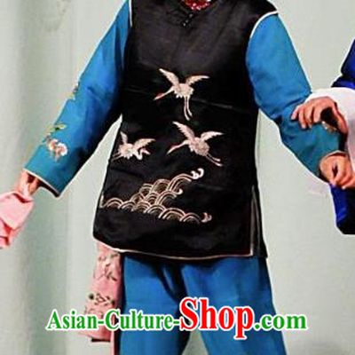 Chinese Ping Opera Elderly Female Apparels Costumes and Headpieces Traditional Pingju Opera San Jie Lie Old Woman Dress Garment