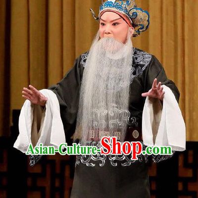 Xing Han Tu Chinese Peking Opera Laosheng Garment Costumes and Headwear Beijing Opera Old Man Apparels Official Zhang Cang Clothing