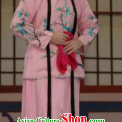 Chinese Beijing Opera Liu Lanzhi Young Girl Apparels Costumes and Headpieces Traditional Peking Opera Xiaodan Pink Dress Garment