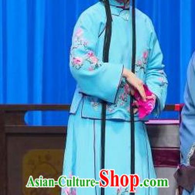 Chinese Beijing Opera Liu Lanzhi Apparels Costumes and Headpieces Traditional Peking Opera Young Girl Dress Xiaodan Garment