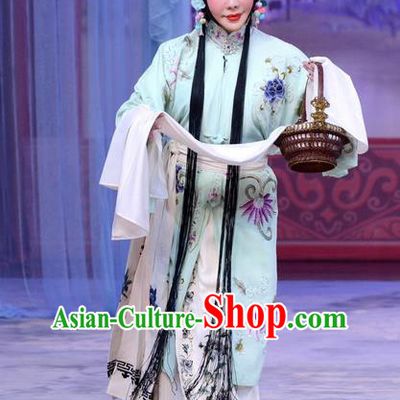 Chinese Beijing Opera Young Female Liu Lanzhi Apparels Costumes and Headpieces Traditional Peking Opera Tsing Yi Dress Garment
